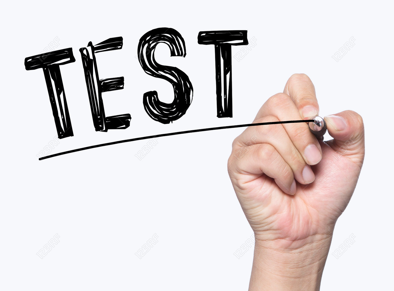 Rishabh Test